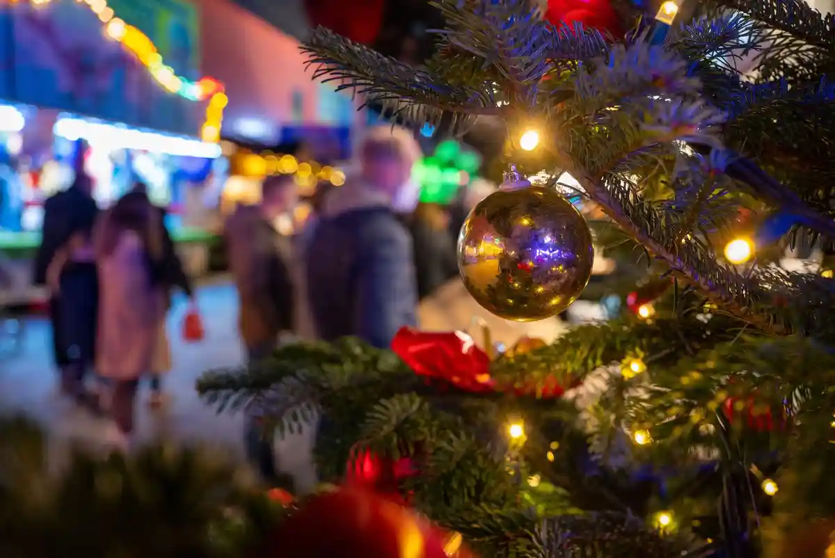 Равенсбург уже ищет елку для Рождества