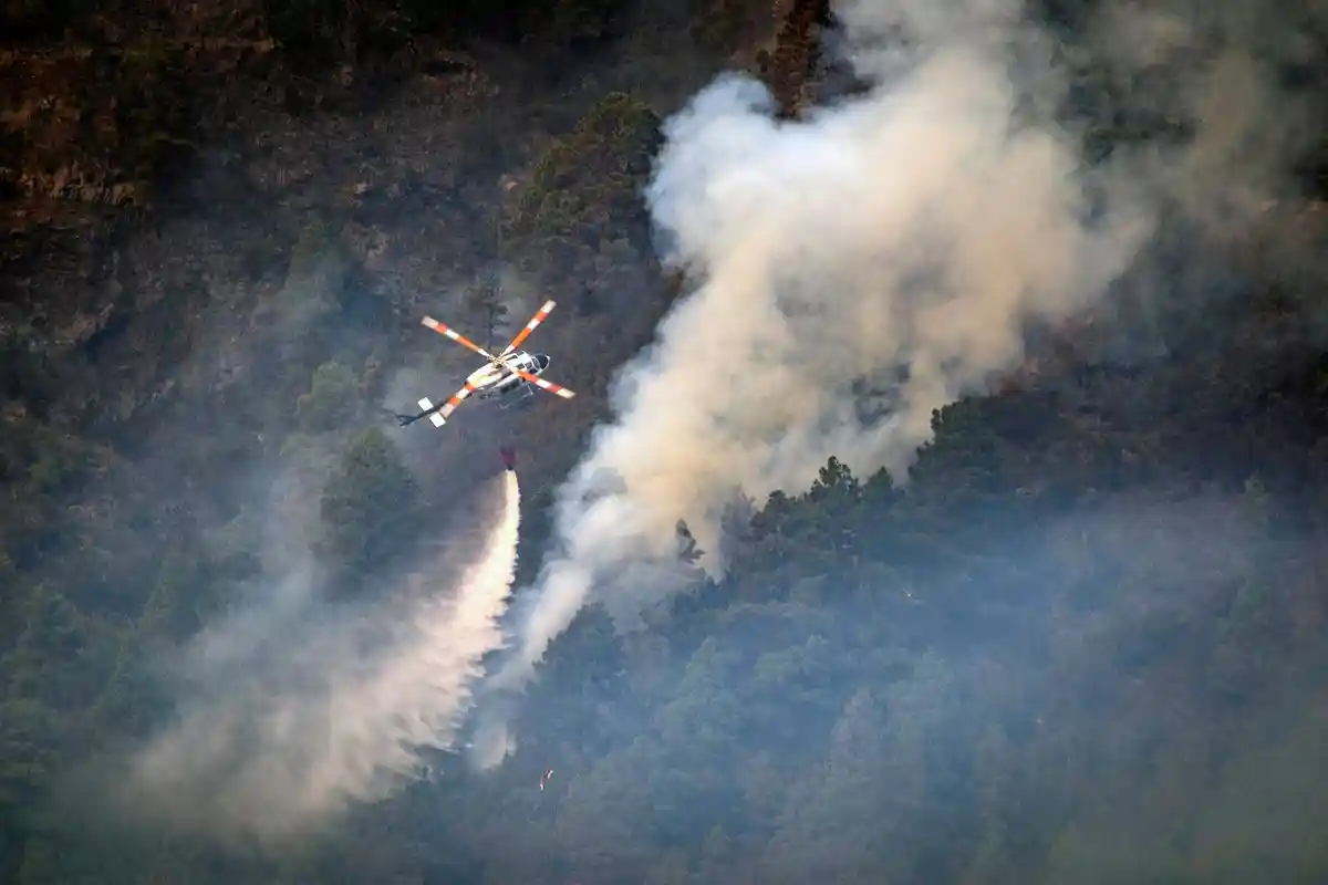 Лесные пожары на Тенерифе