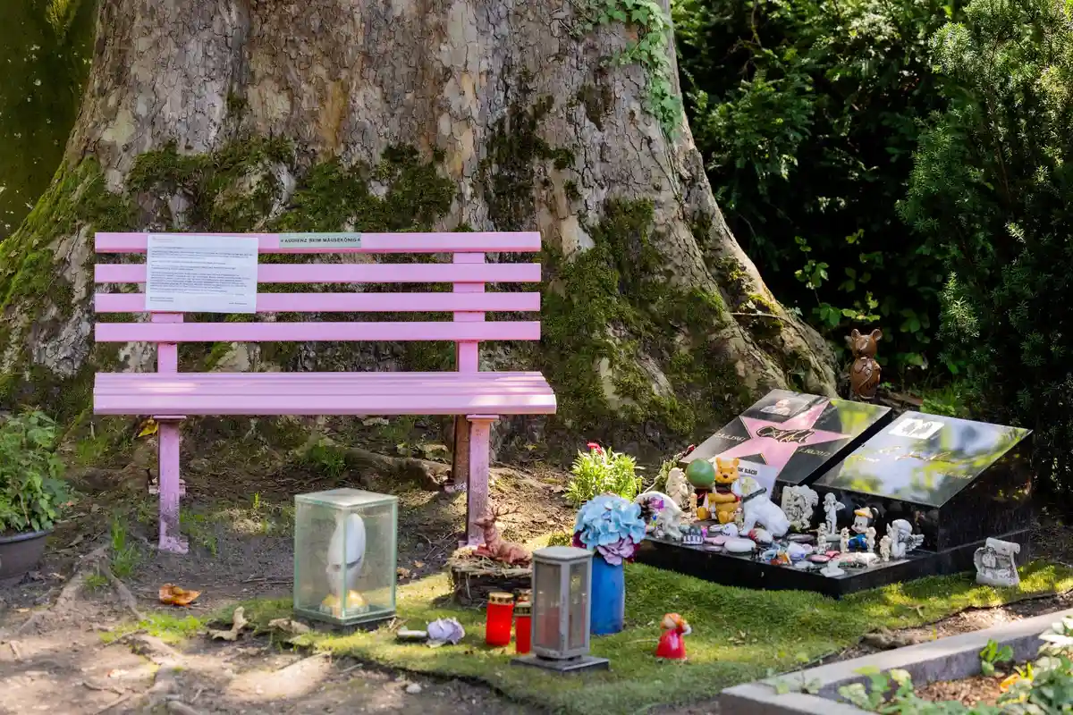 Розовая скамейка рядом с могилой покойного комика Дирка Баха. Фото: Rolf Vennenbernd/dpa/Archivbild