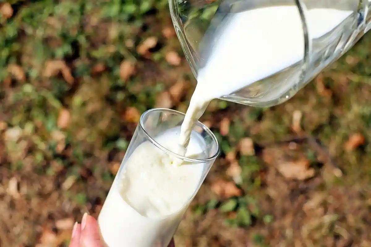 Отзыв молока в Германии
