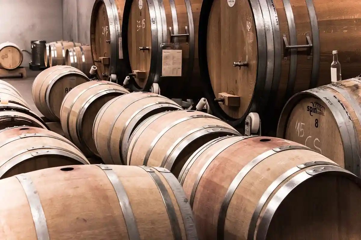 Сколько зарабатывает винодел, зависит от многочисленных факторов. Фото: Leo Hau / Pixabay