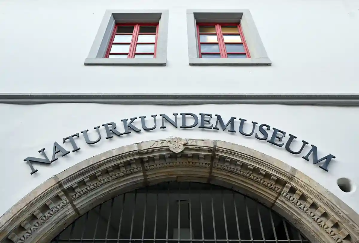 Тюрингские музеи остаются платными