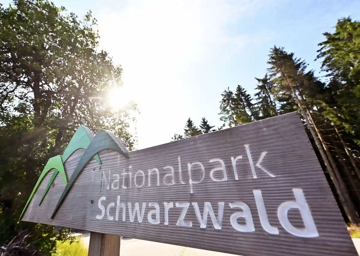 Национальный парк Шварцвальд