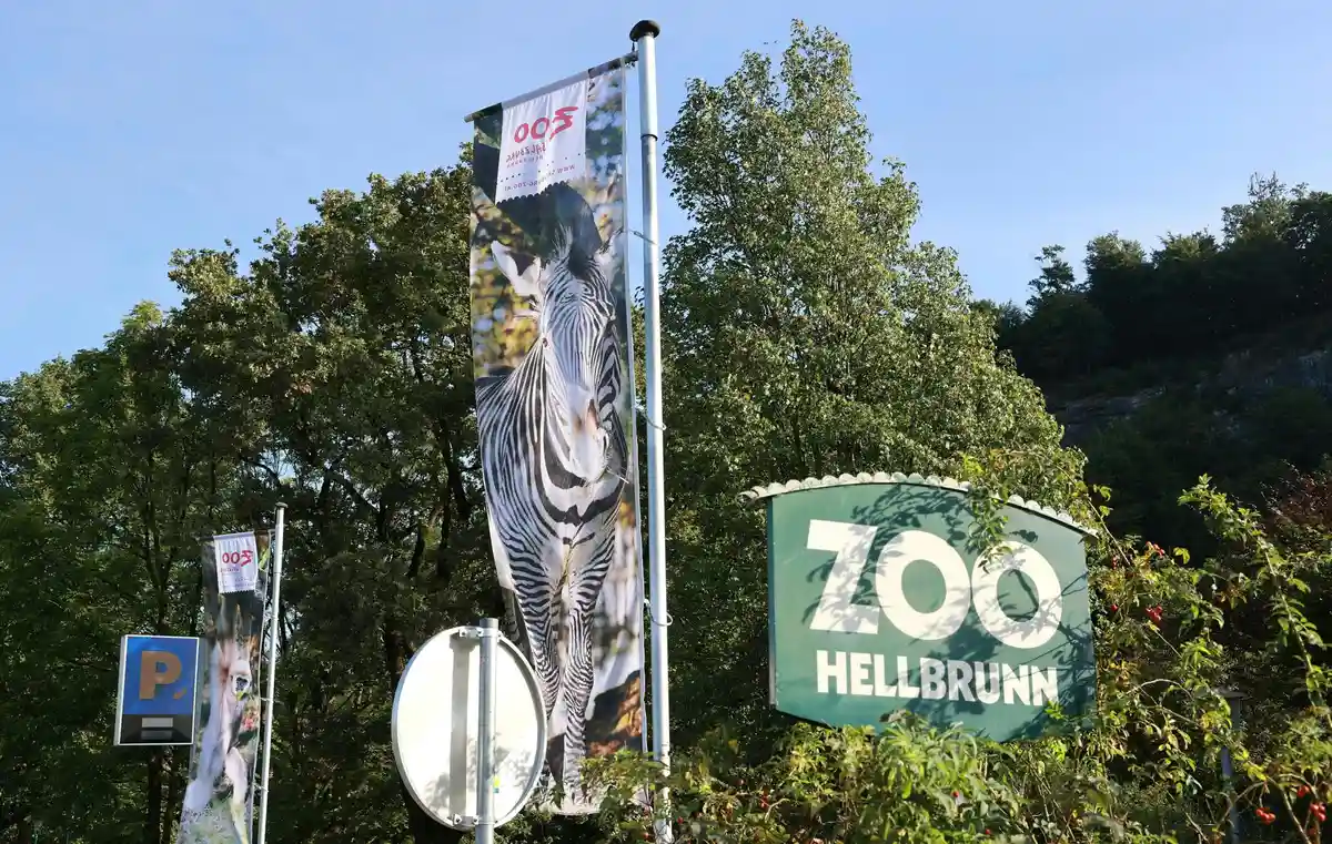 Смотритель погиб в результате нападения носорога в зоопарке Зальцбурга