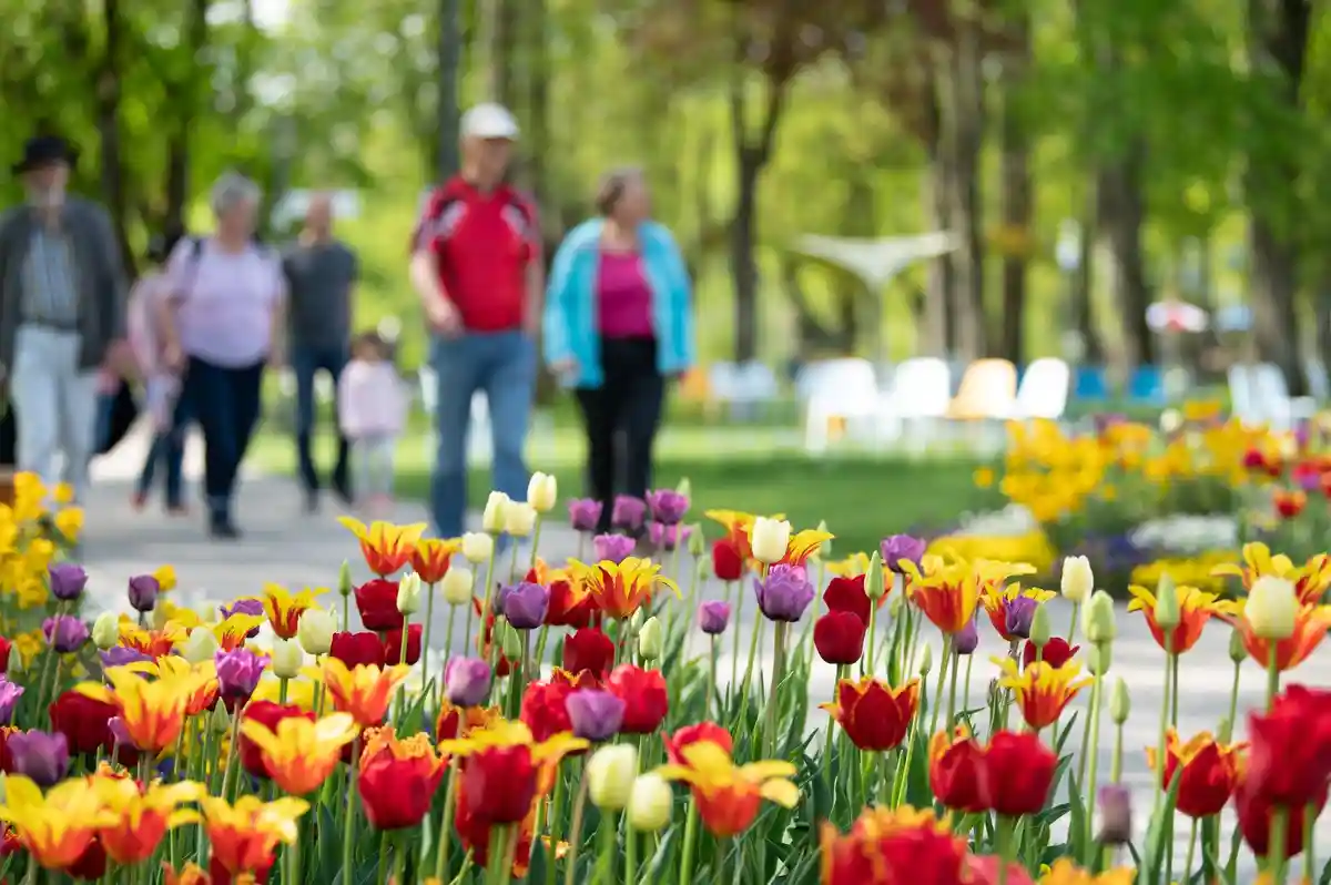 Садовая выставка в Балингене привлекла полмиллиона посетителей