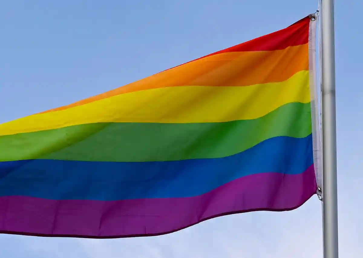 Популярность AfD беспокоит гомосексуалистов