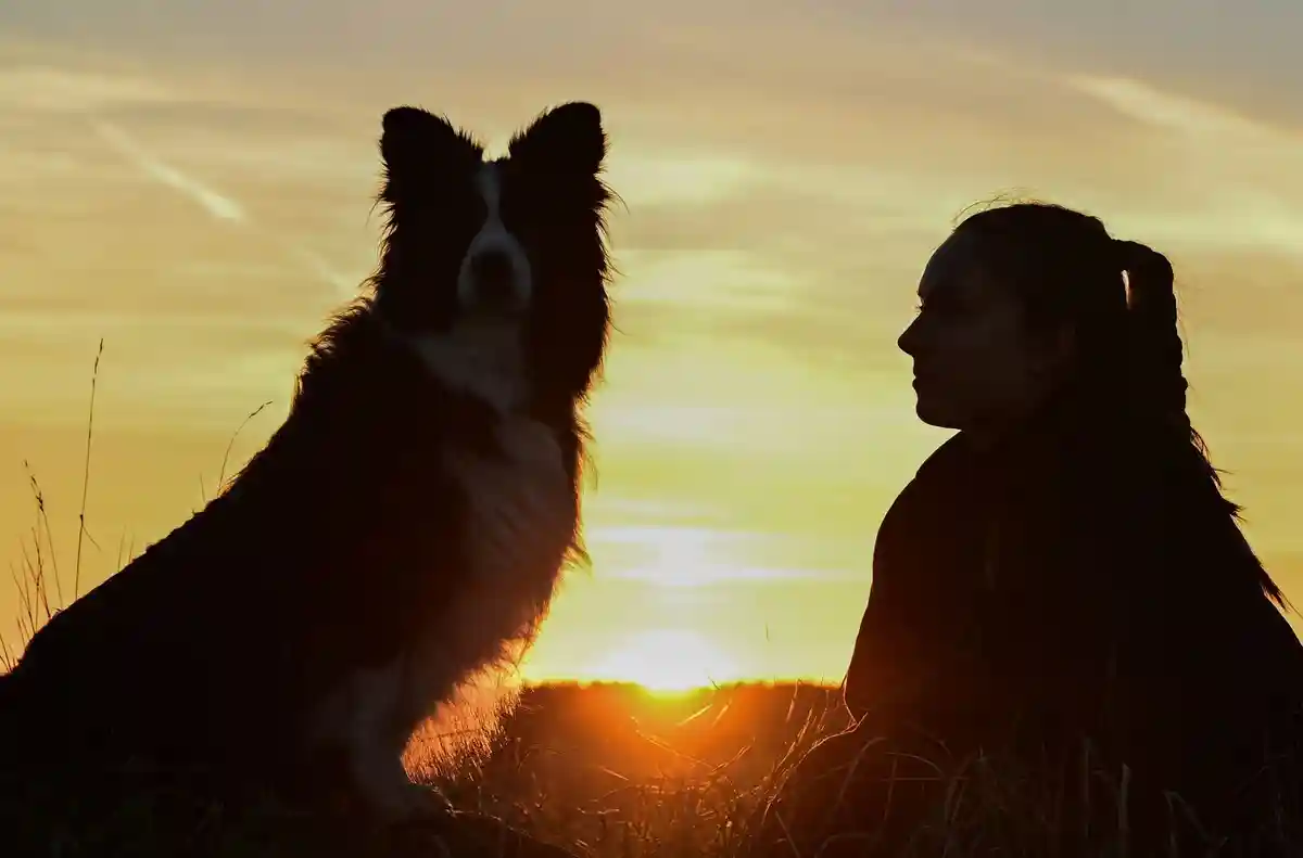 Женщина и ее собака сидят на лугу на закате