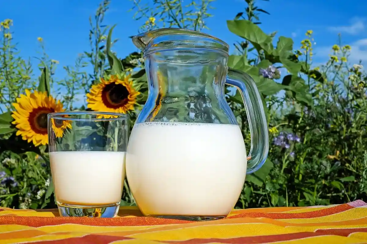 Большие изменения в Lidl коснутся молочной продукции. Фото: Ilo / Pixabay