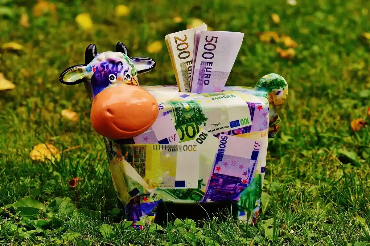 Большинство немцев откладывают деньги на собственную пенсию. Фото: Alexa / Pixabay