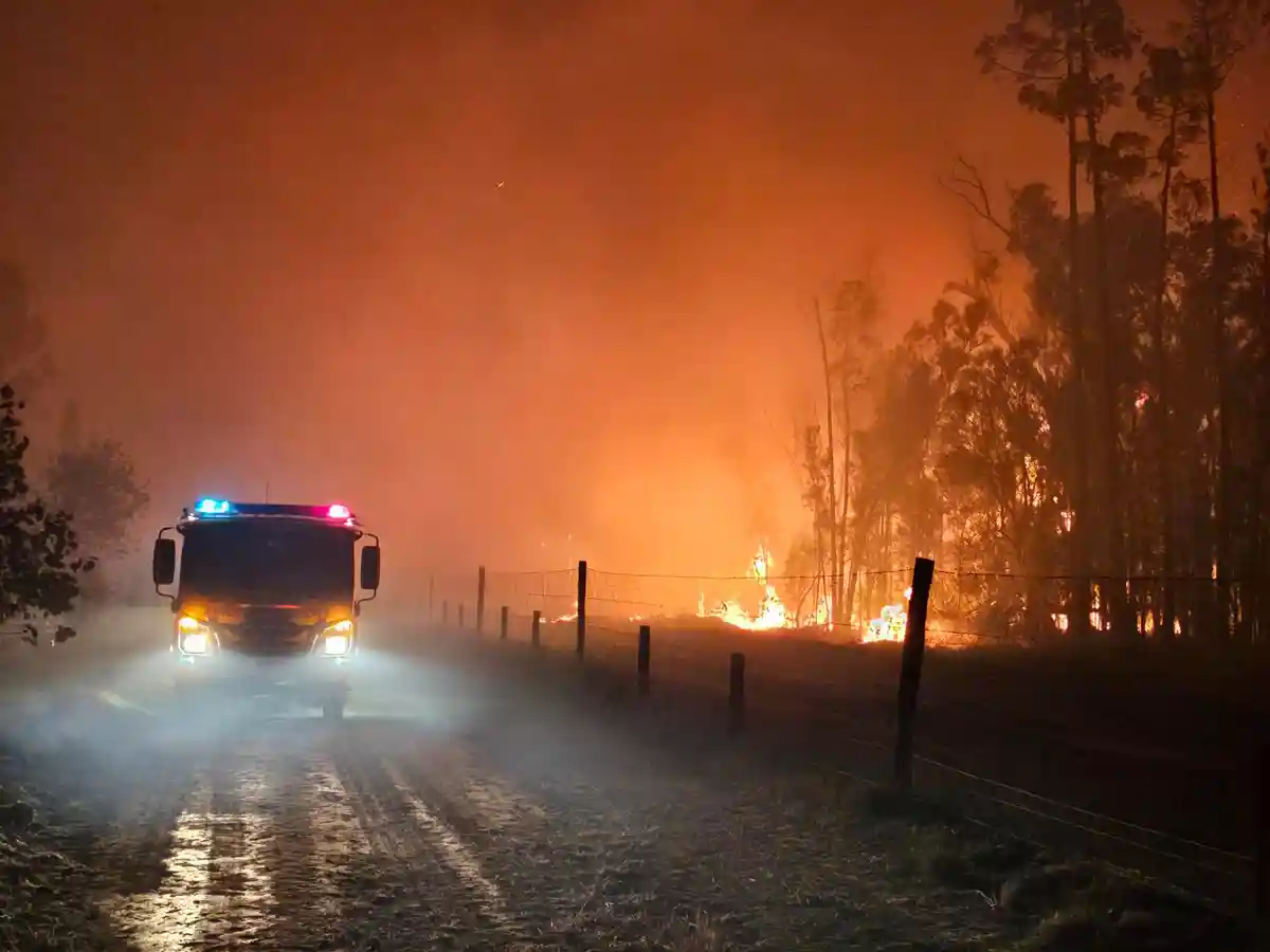 Бушфайры в Австралии:Власти предупреждают, что весной и летом в Австралии может начаться самый сильный сезон кустарниковых пожаров со времен разрушительного "черного лета" 2019-2020 гг.