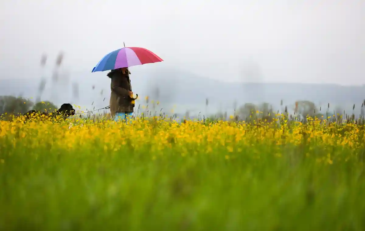 Дождь:Женщина выгуливает собаку под дождем.