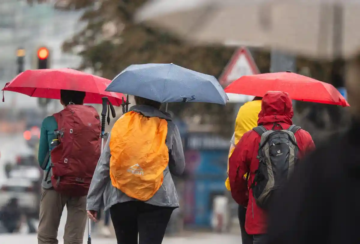 Дождливая погода:Во время дождя люди защищаются зонтами.