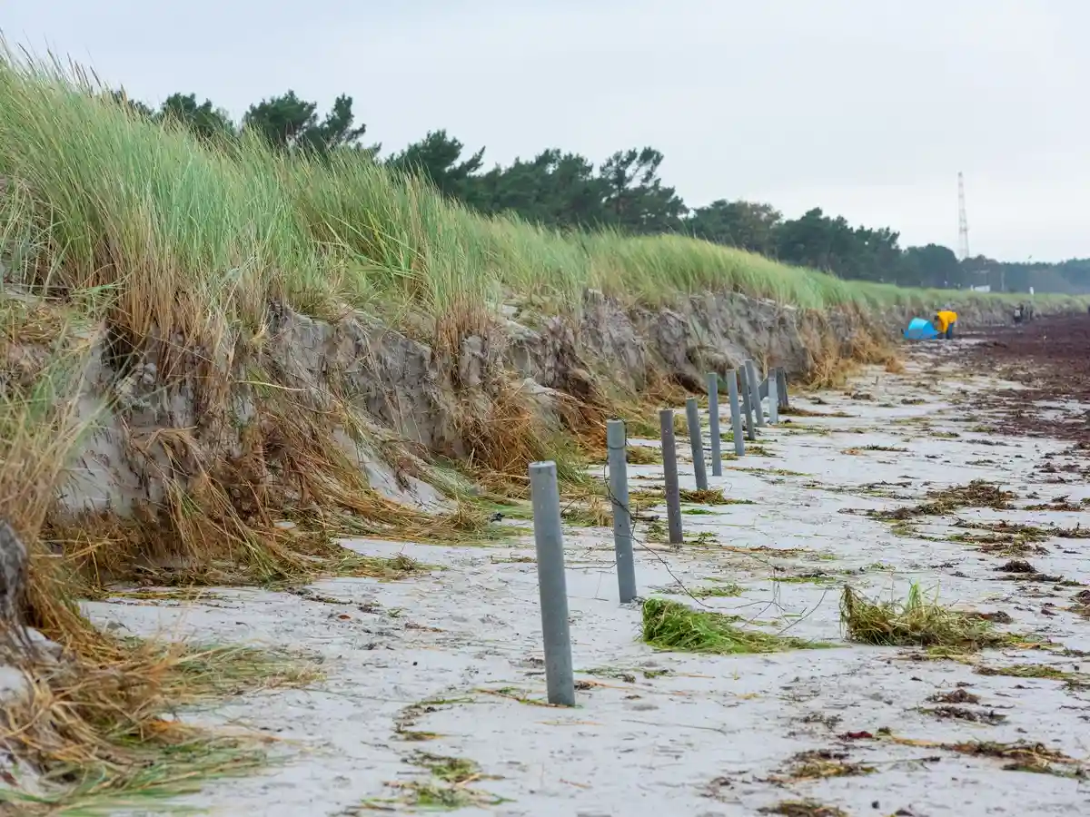 После штормового нагона на побережье Балтийского моря:Волны размыли дюны на пляже Бридж.
