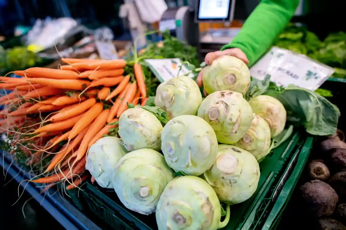 Продукты питания:Кольраби и морковь на фруктово-овощном прилавке.