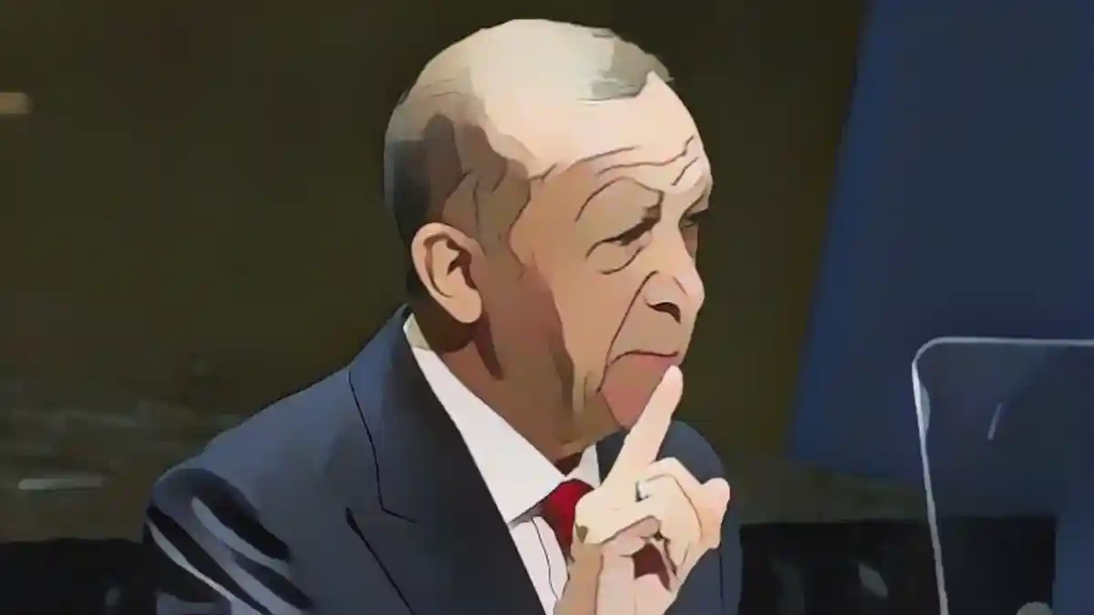 Эрдоган обвинил Израиль в "безумии"