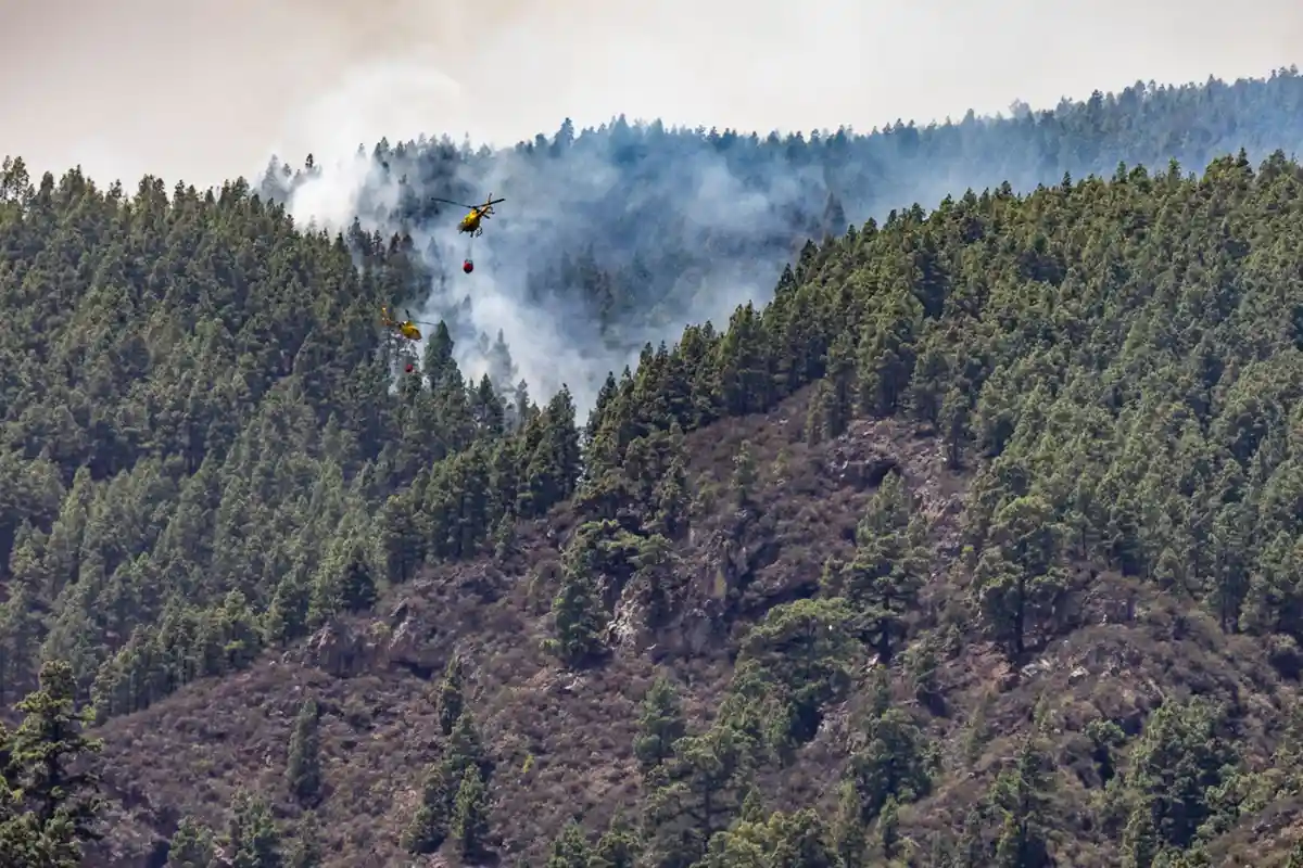 Лесной пожар на Тенерифе: эвакуировано 2600 человек