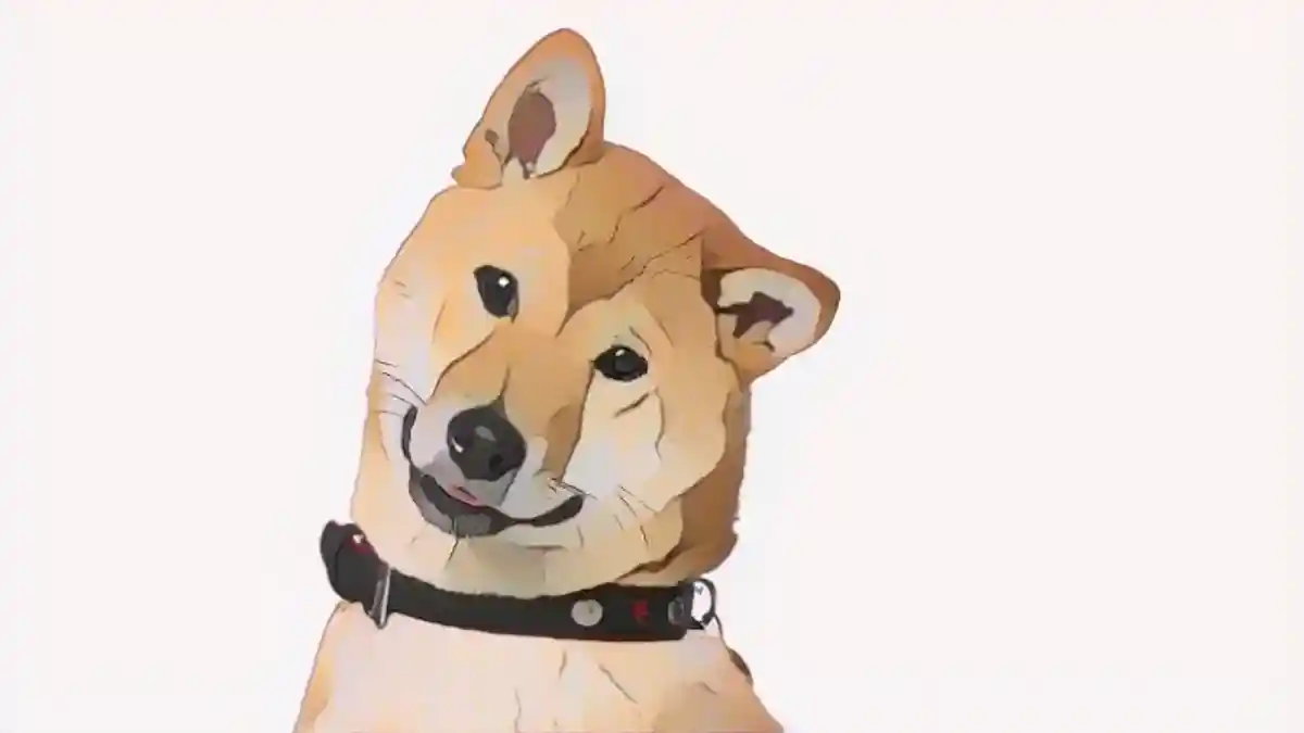 В конце концов, собака-бот самокритична: Dai-chan создан по образцу японской породы сиба-ину.:В конце концов, собака-бот самокритична: Dai-chan создан по образцу японской породы сиба-ину.