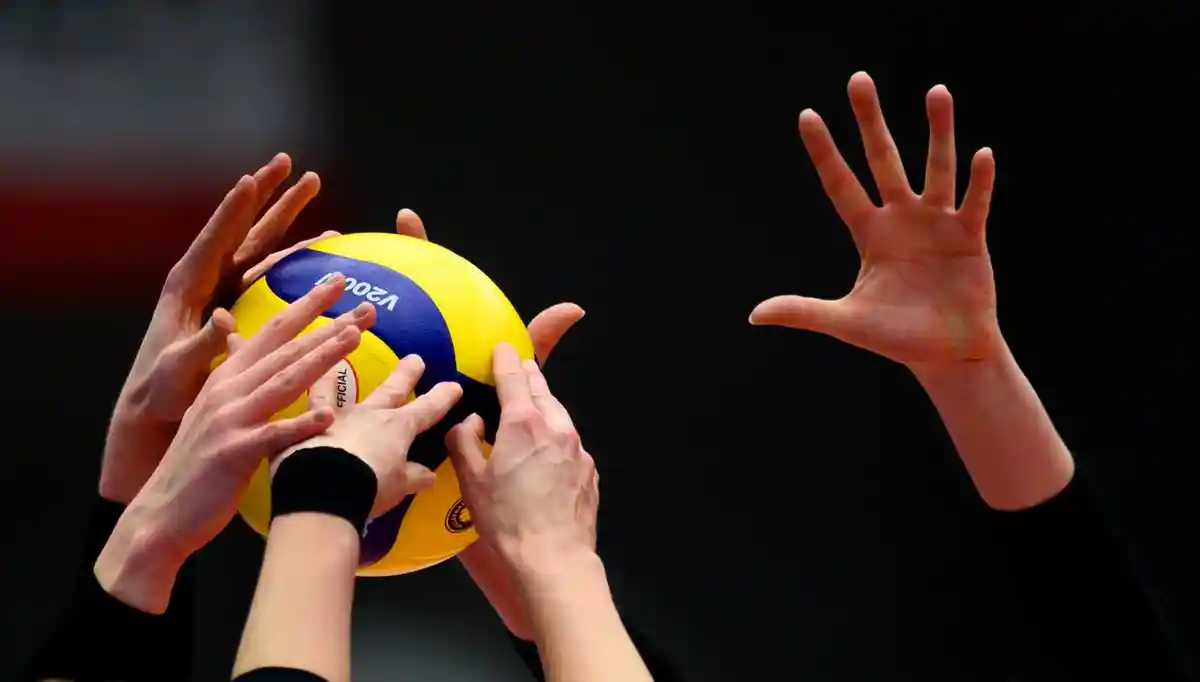 Женский волейбол:Волейболисты на мяче.