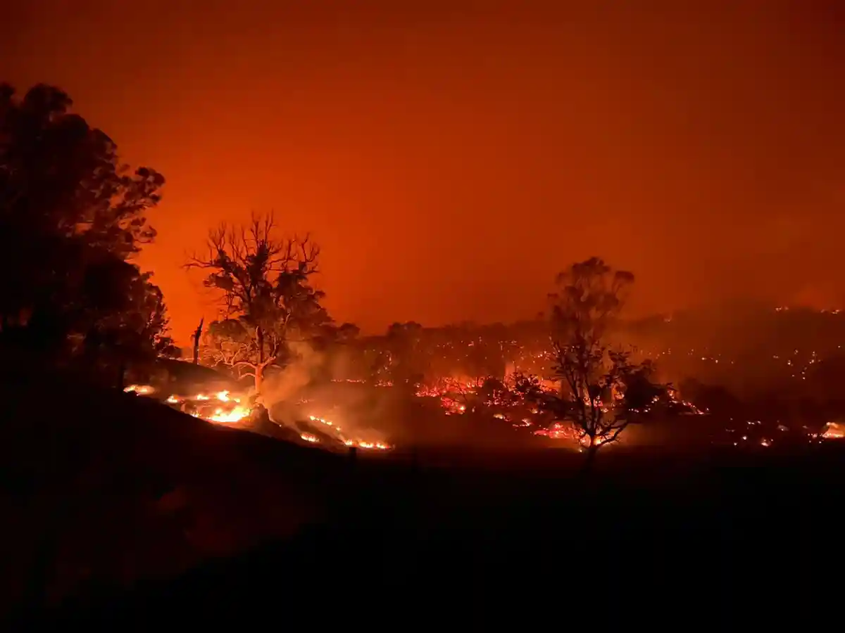 Бушфайр в Австралии:Кустарниковый пожар вблизи Кемпси, к северо-востоку от Сиднея.