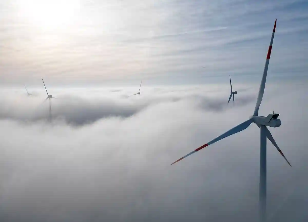 Утренний туман в Саксонии-Анхальт:Ветряные турбины на ветряной электростанции к западу от Галле.