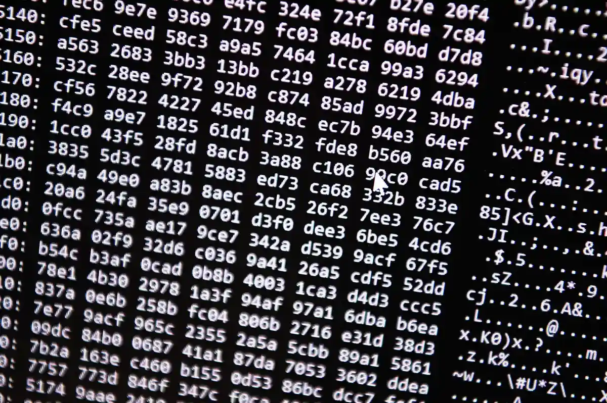 Darknet:В Баварском центре по борьбе с киберпреступностью (ZCB) на экране высвечивается цифровой код.