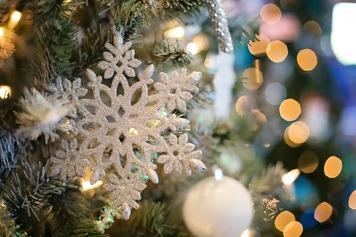 Зная, как сэкономить сотни евро на Рождество, можно хорошо провести праздники. Фото: Jill Wellington / Pixabay