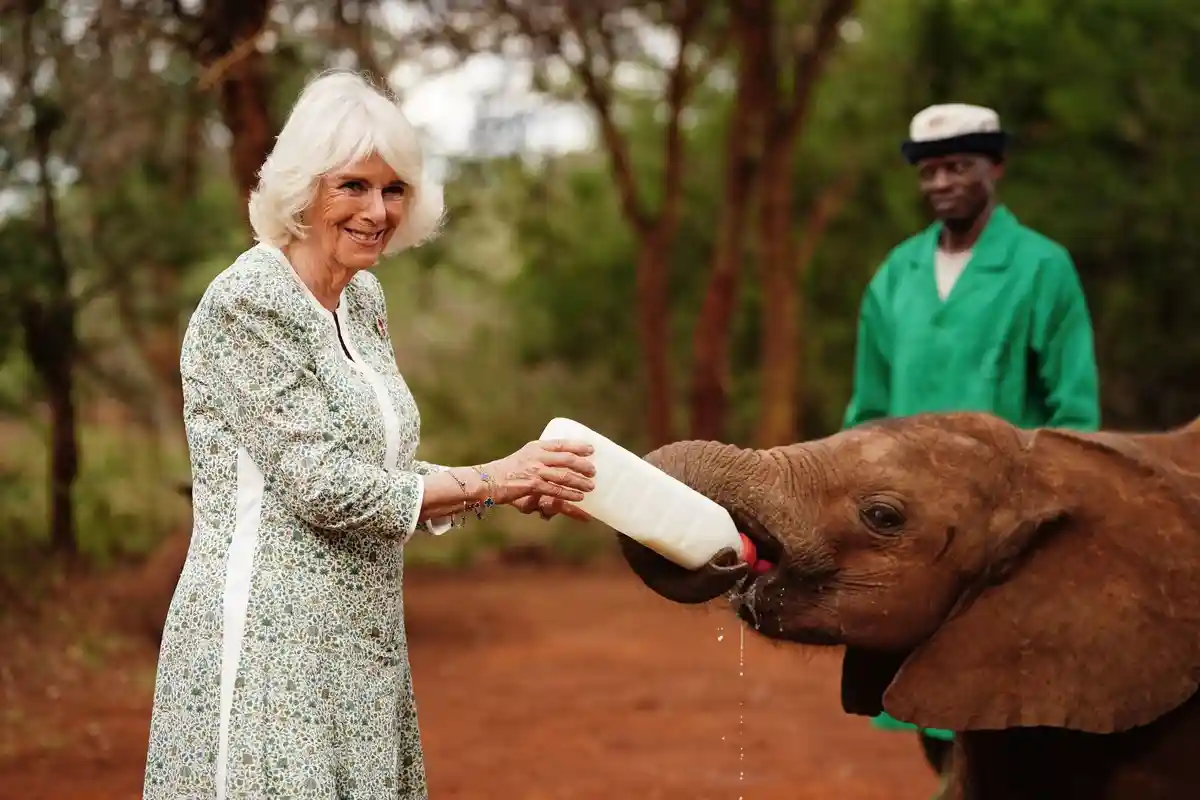 Королева Камилла в Кении слоненка покормила