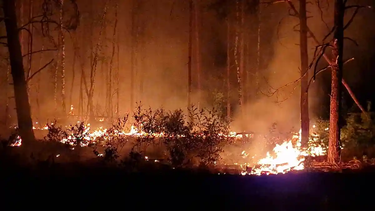 Лесной пожар в окрестностях Ютербога:Пламя взвивается в воздух и поднимается дым ночью в лесном массиве близ Ютербога.
