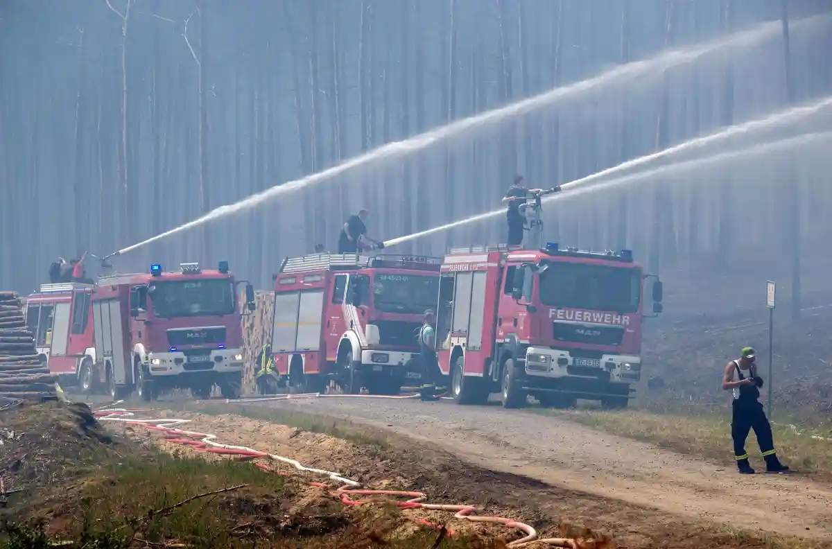 Лесные пожары:Пожарные тушат крупномасштабный лесной пожар.