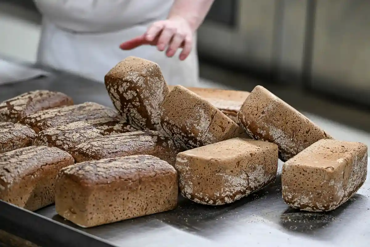 Пекарня:Цельнозерновой хлеб только что из печи.