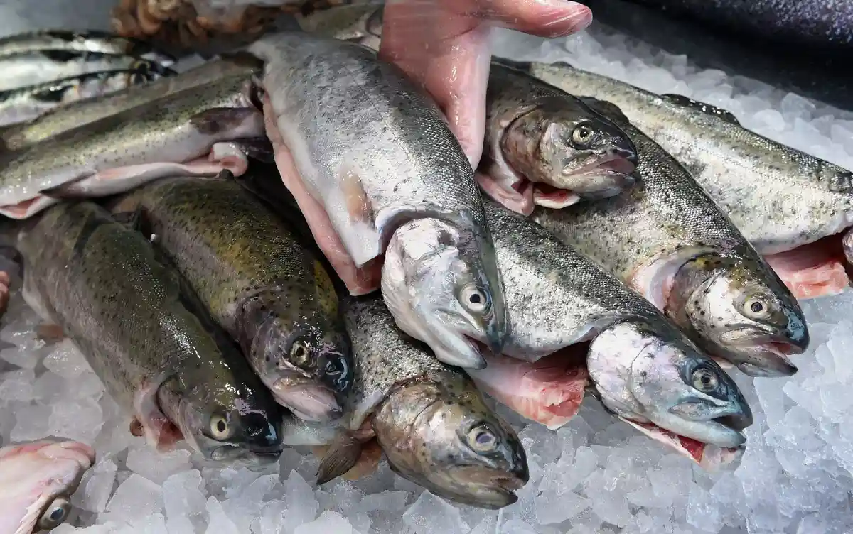 На рыбу и морепродукты немцы потратили 3,7 млрд. евро