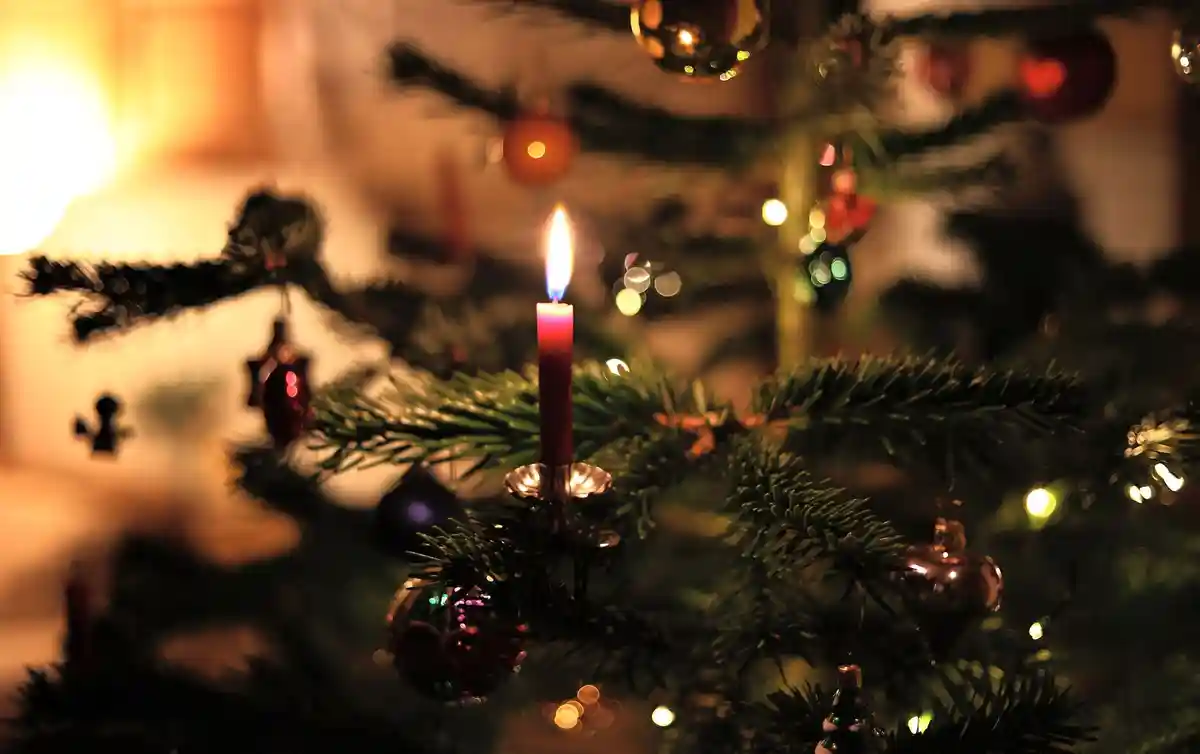 Рождественская елка:На празднично украшенной елке горит свеча.