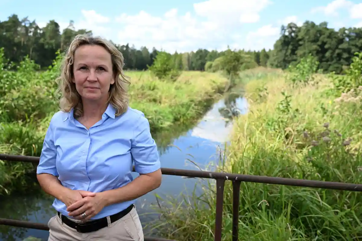 В Бранденбурге планируют возродить болота