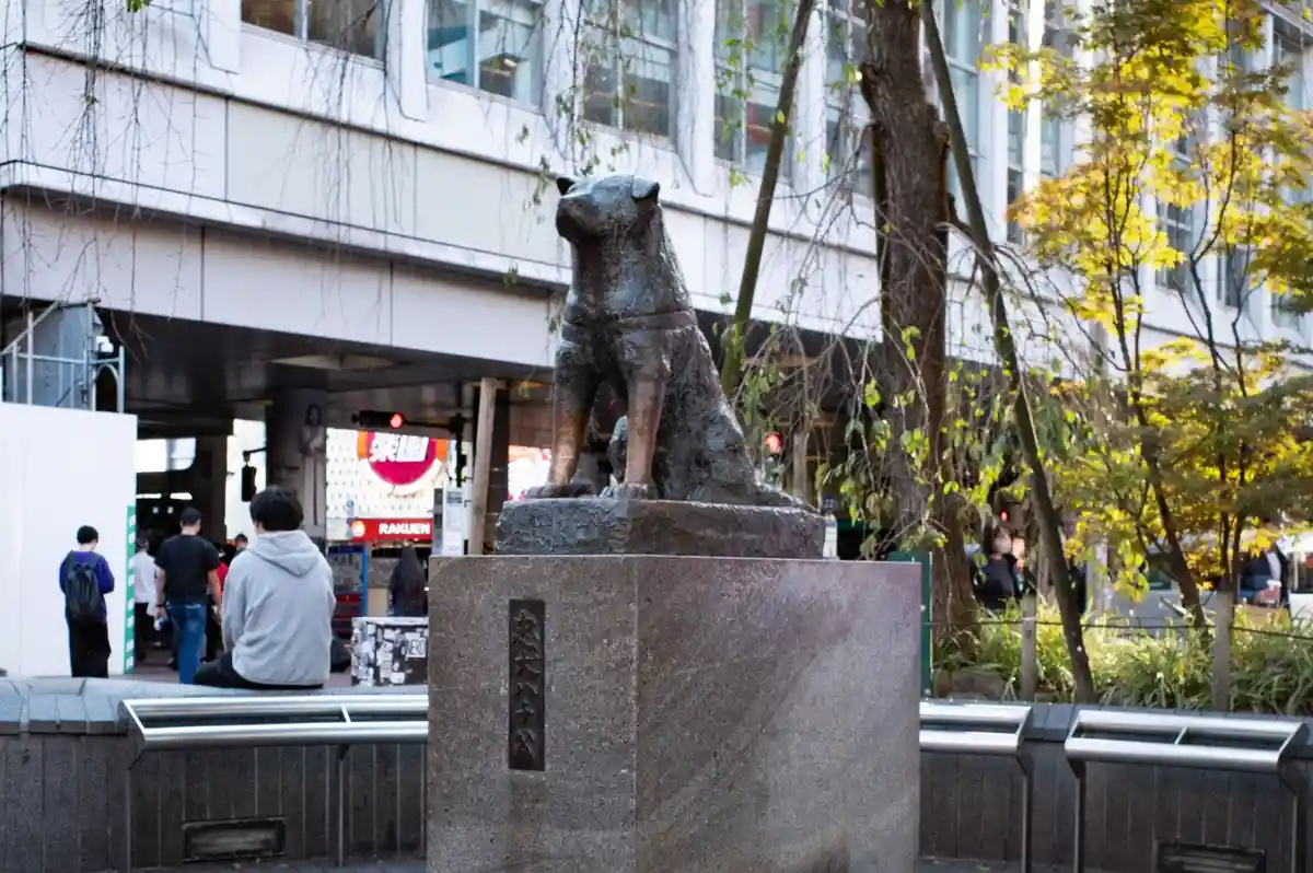 Знаменитая японская собака Хатико родилась 100 лет назад