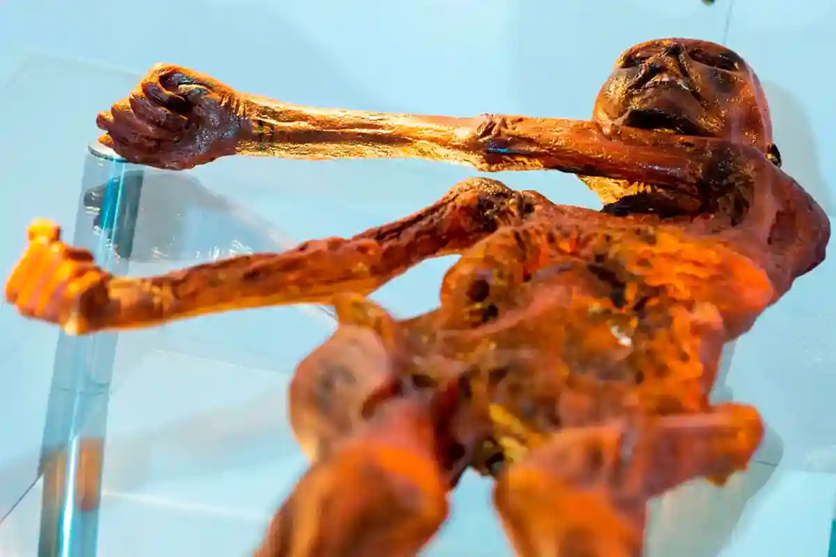 Выставка "Этци. Ледяной человек" открылась в Ольденбурге