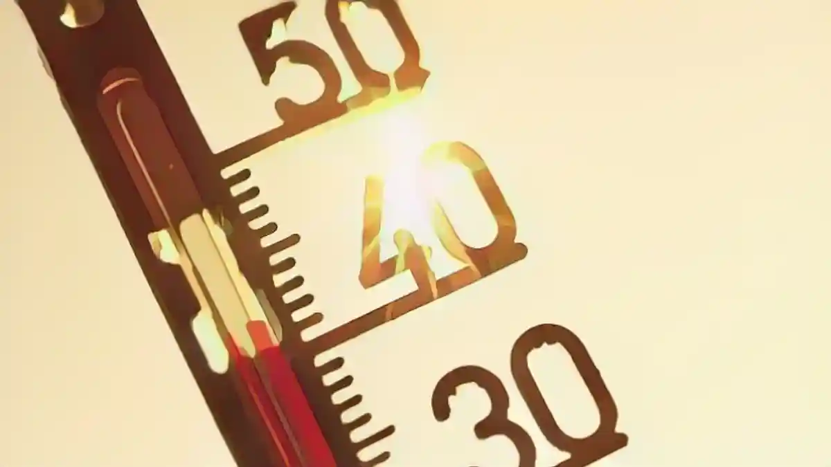 2023 год стал самым теплым годом в Германии:2023 год стал самым теплым годом в Германии