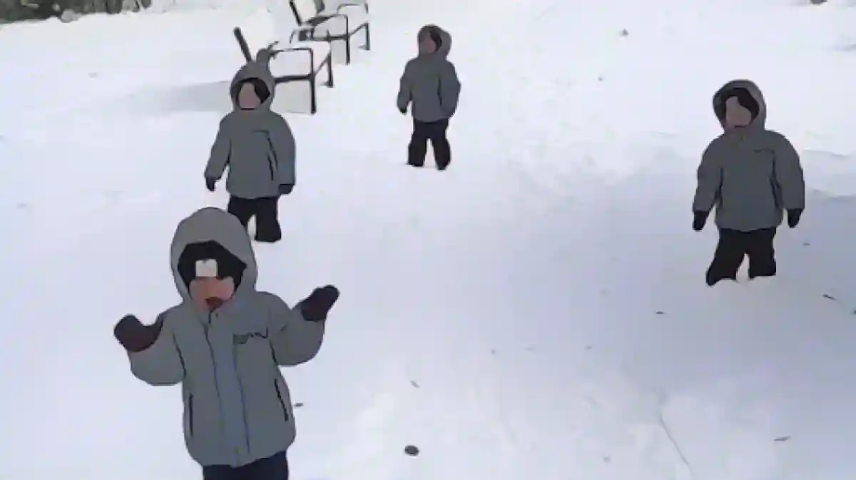 Четвероногие дети испытывают первый снег - и ненавидят его:Источник видео: