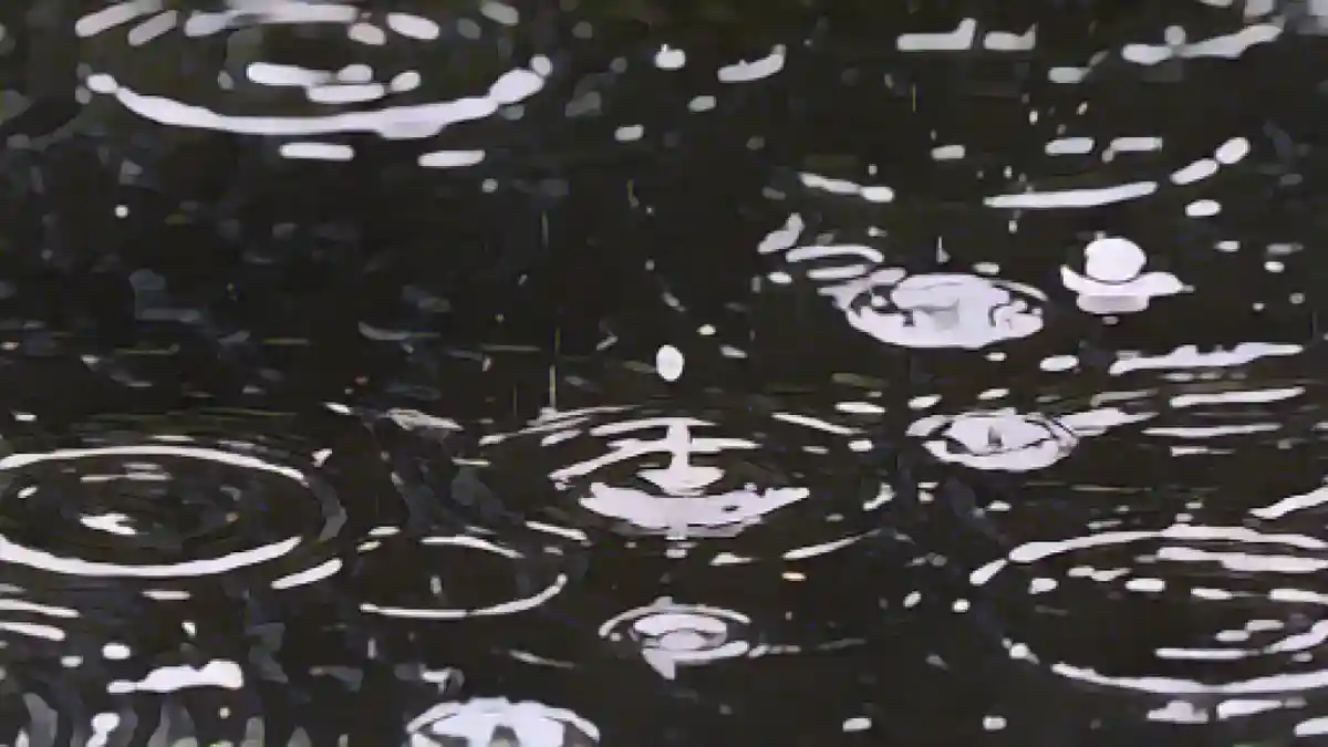 Капли дождя падают в пруд в ландшафтном парке Дуйсбурга.:Капли дождя падают в пруд в ландшафтном парке Дуйсбурга. Фото