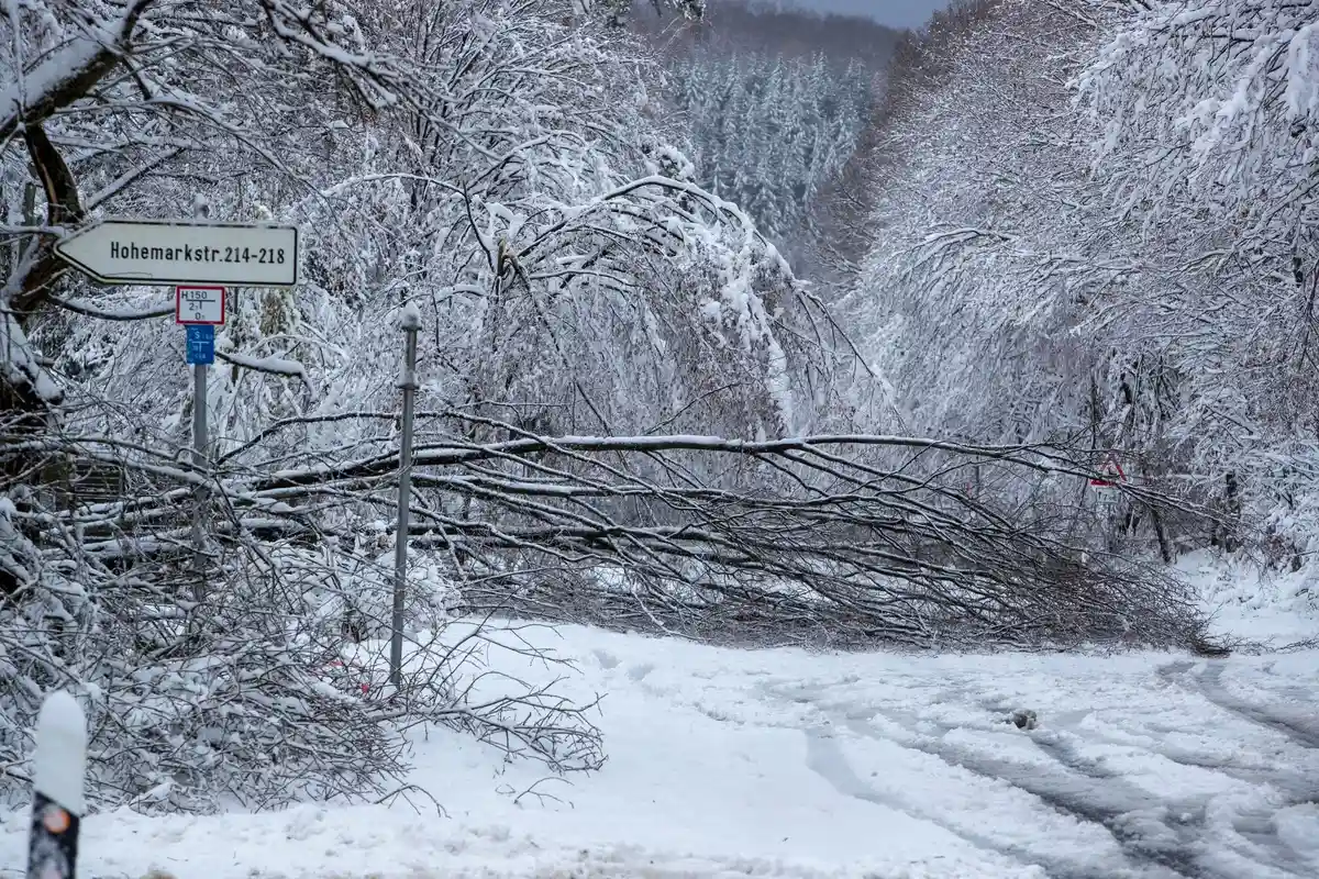 Наступление зимы в Гессене:Упавшее дерево перекрывает магистраль L3008 в направлении Таунус-Фельдберг.