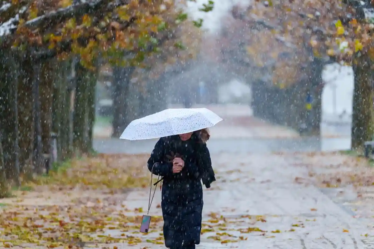 Наступление зимы в Майнце:Женщина защищается зонтиком от сильного снегопада на берегу Рейна в столице штата.