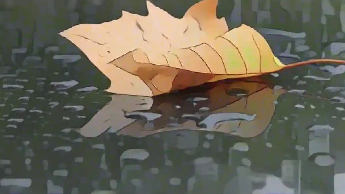 Осенний лист лежит на крыше автомобиля под дождем.:Осенний лист лежит на крыше автомобиля под дождем. Фото