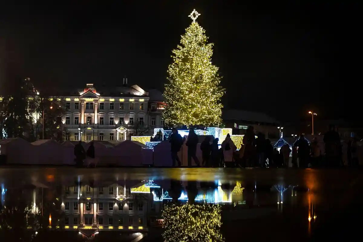 Отражение:В Литве люди наслаждаются предрождественским сезоном. Подсвеченная рождественская елка на Кафедральной площади Вильнюса волшебно отражается в воде.