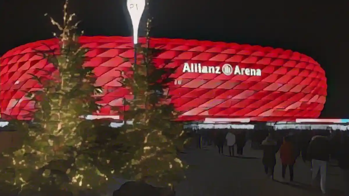 Перед началом матча у входа на стадион стоят подсвеченные рождественские елки.:Подсвеченные елки у входа на стадион перед началом матча. Фото