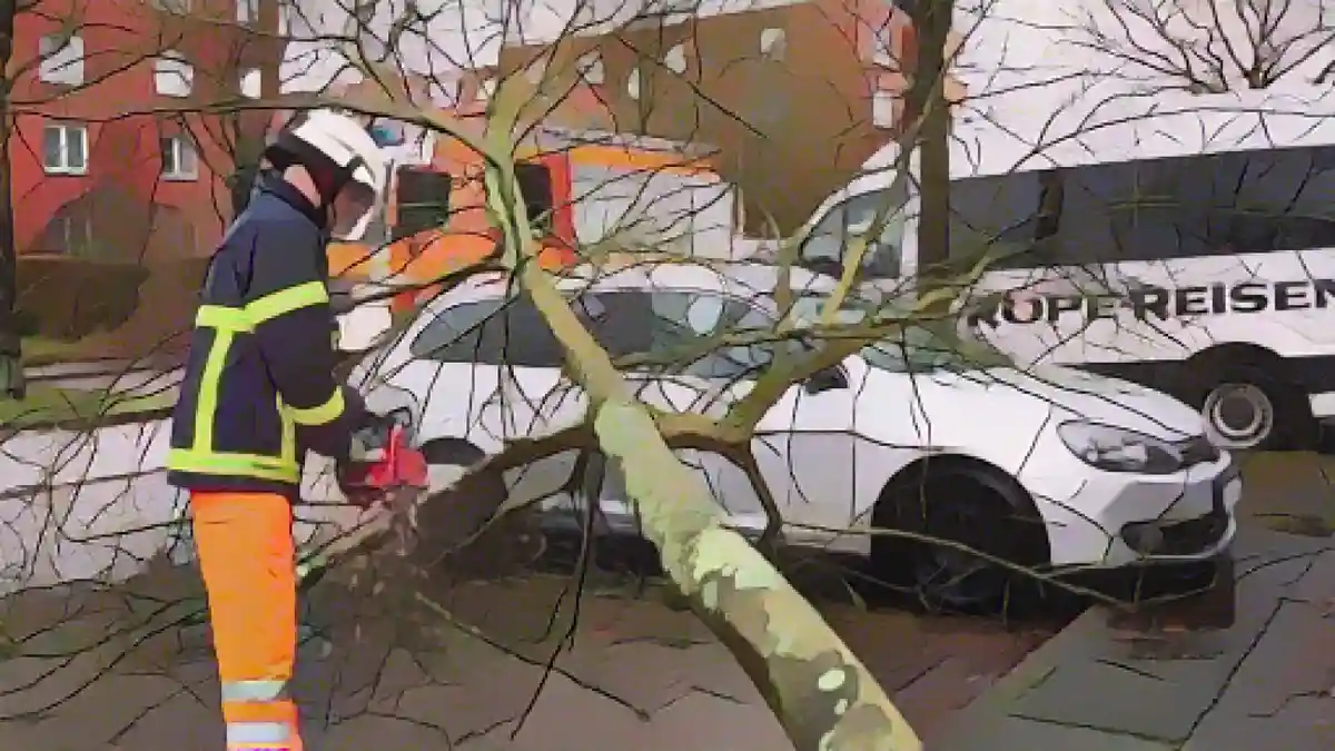 Пожарный распиливает дерево, упавшее на автомобиль во время урагана в районе Нойаллермёэ.:Пожарный распиливает дерево, упавшее на автомобиль во время урагана в районе Нойаллермёэ. Фото
