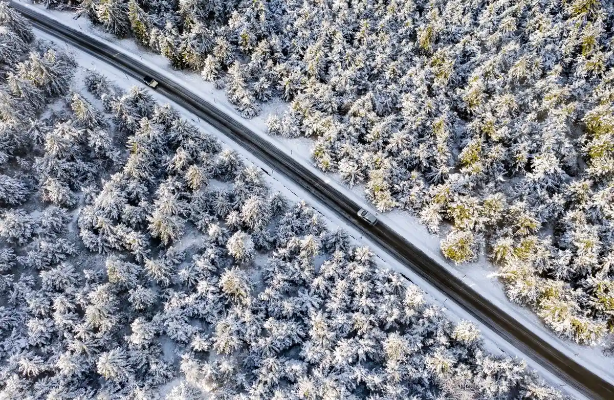 Путешествие на автомобиле зимой:Машины едут по заснеженному лесу.