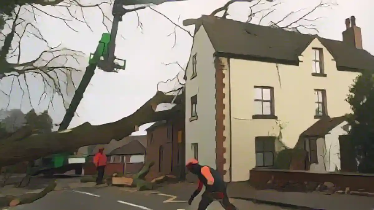 Рабочие убирают упавшее дерево, повредившее крышу дома в Дербишире.:Рабочие убирают упавшее дерево, повредившее крышу дома в Дербишире. Фото
