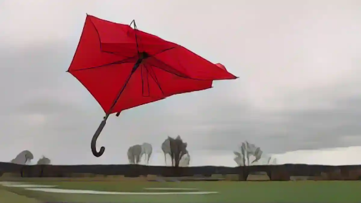 Сломанный зонтик летит по лугу под ветром шторма "Золтан".:Сломанный зонт летит по лугу под ветром во время шторма "Золтан". Фото