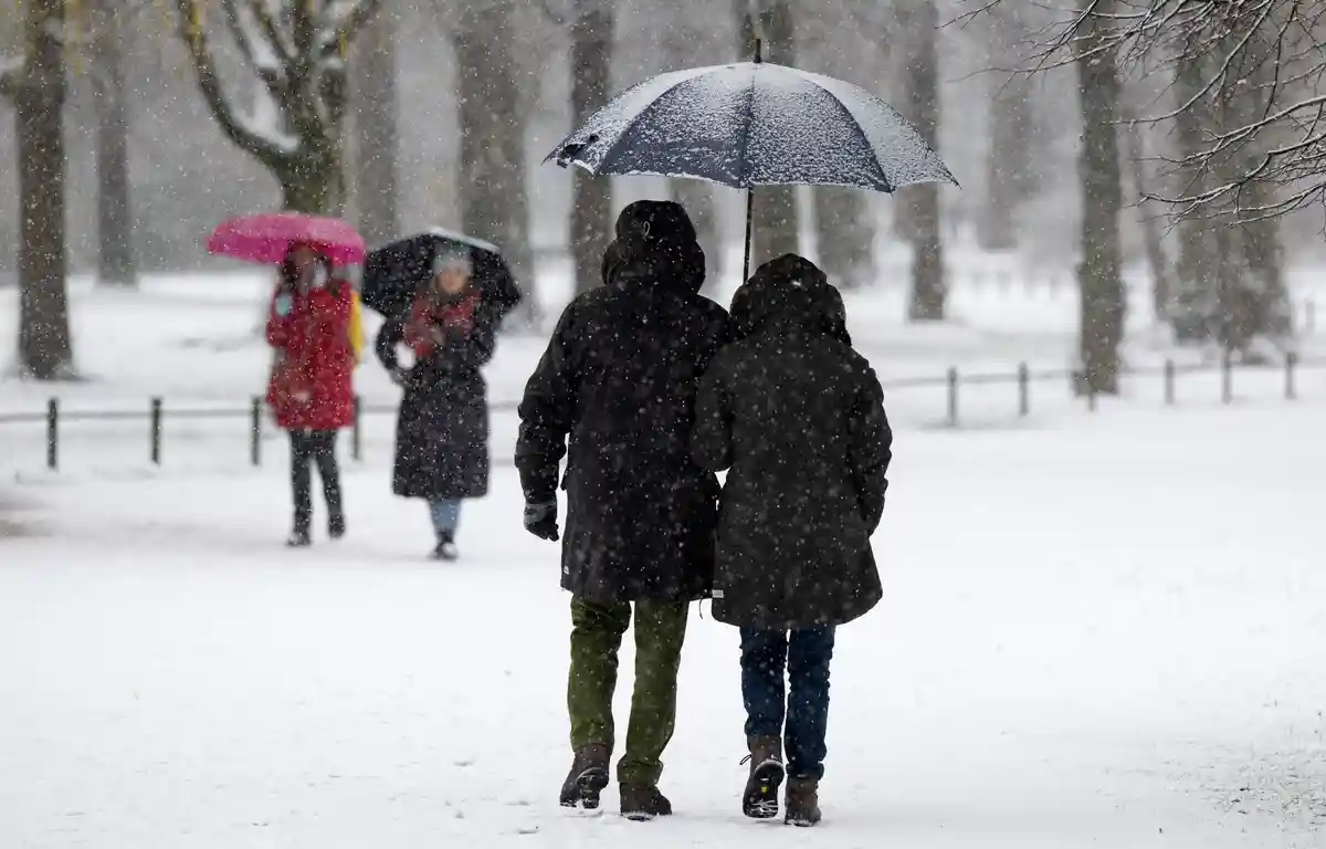 Снег в Мюнхене:Мужчина и женщина прогуливаются по Английскому саду с зонтиком во время небольшого снегопада.