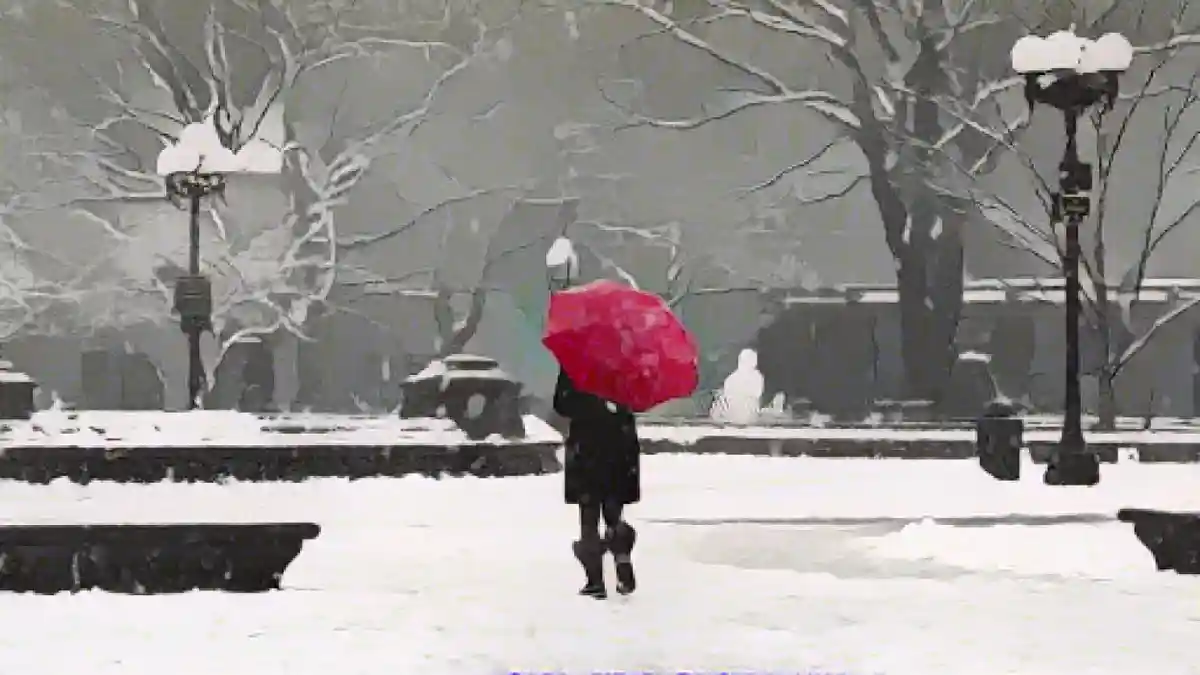 Женщина с красным зонтом идет по пустынному парку Вашингтон-сквер в Нью-Йорке во время снежного дня.:Что делать на Рождество, если вы не празднуете