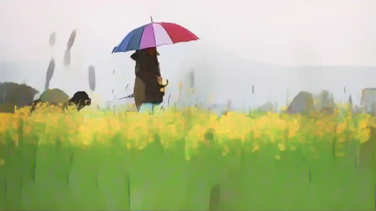 Женщина выгуливает свою собаку под дождем.:Женщина выгуливает свою собаку под дождем. Фото